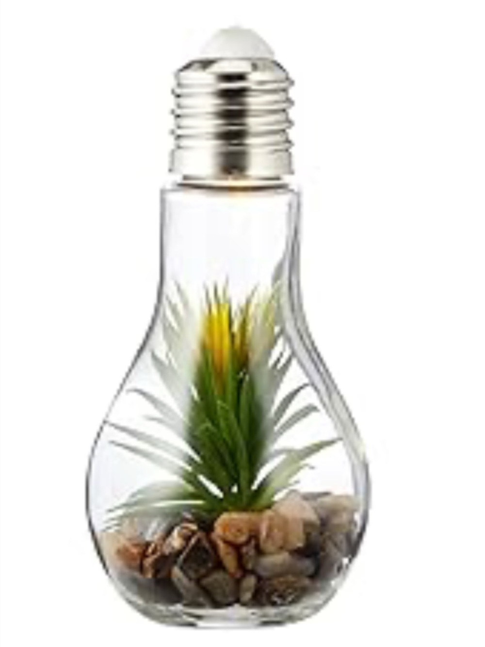 Solar Powered Glass Bulb Terrarium with Faux Succulent - Clear